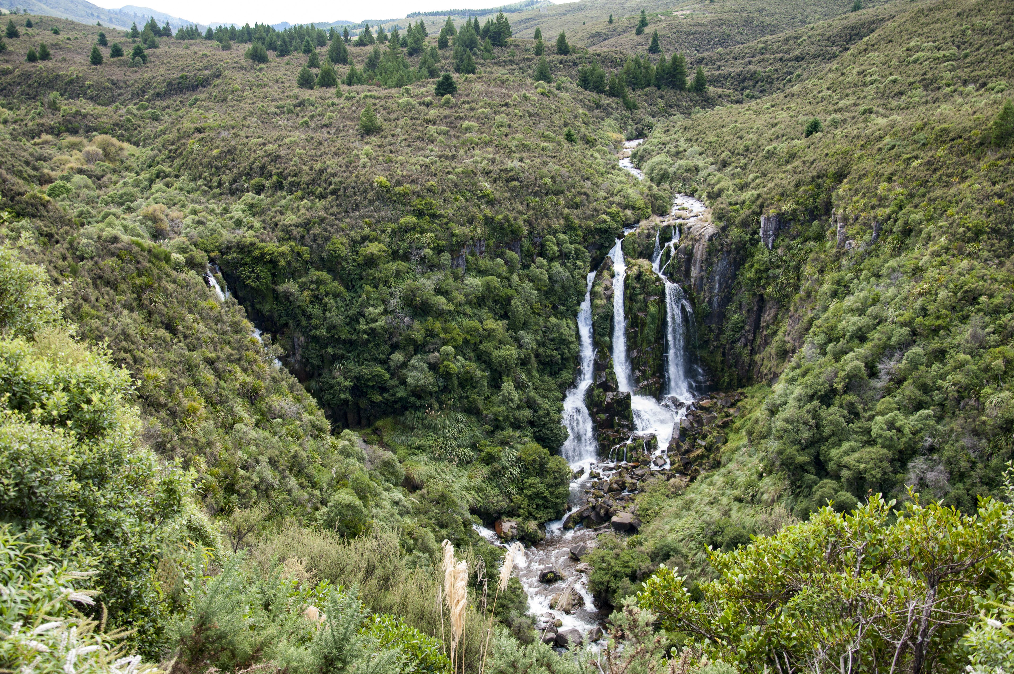 Name:  Waipunga Falls.jpg
Views: 704
Size:  5.59 MB