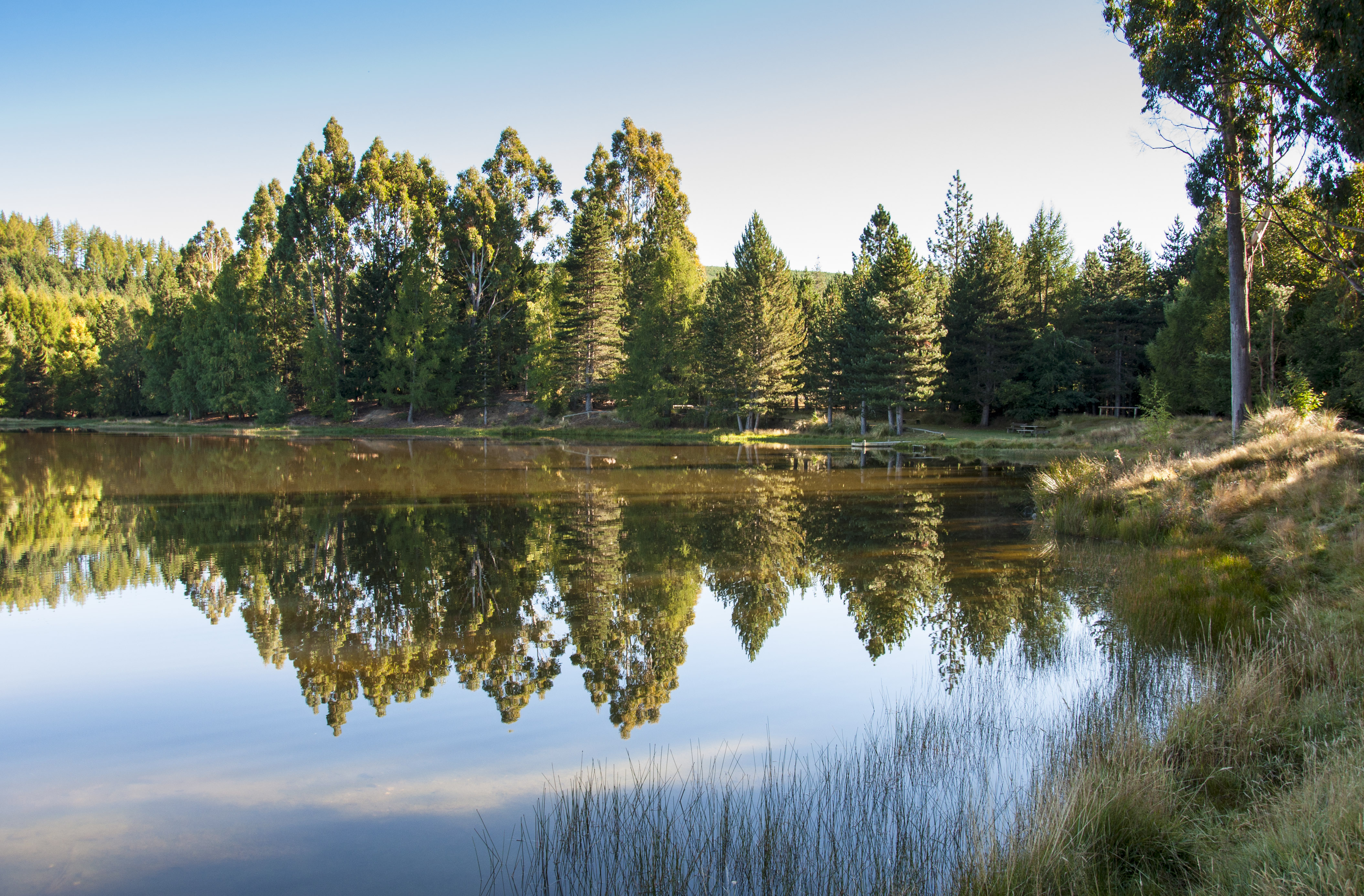 Name:  Coalpit Dam - Naseby.jpg
Views: 540
Size:  2.78 MB