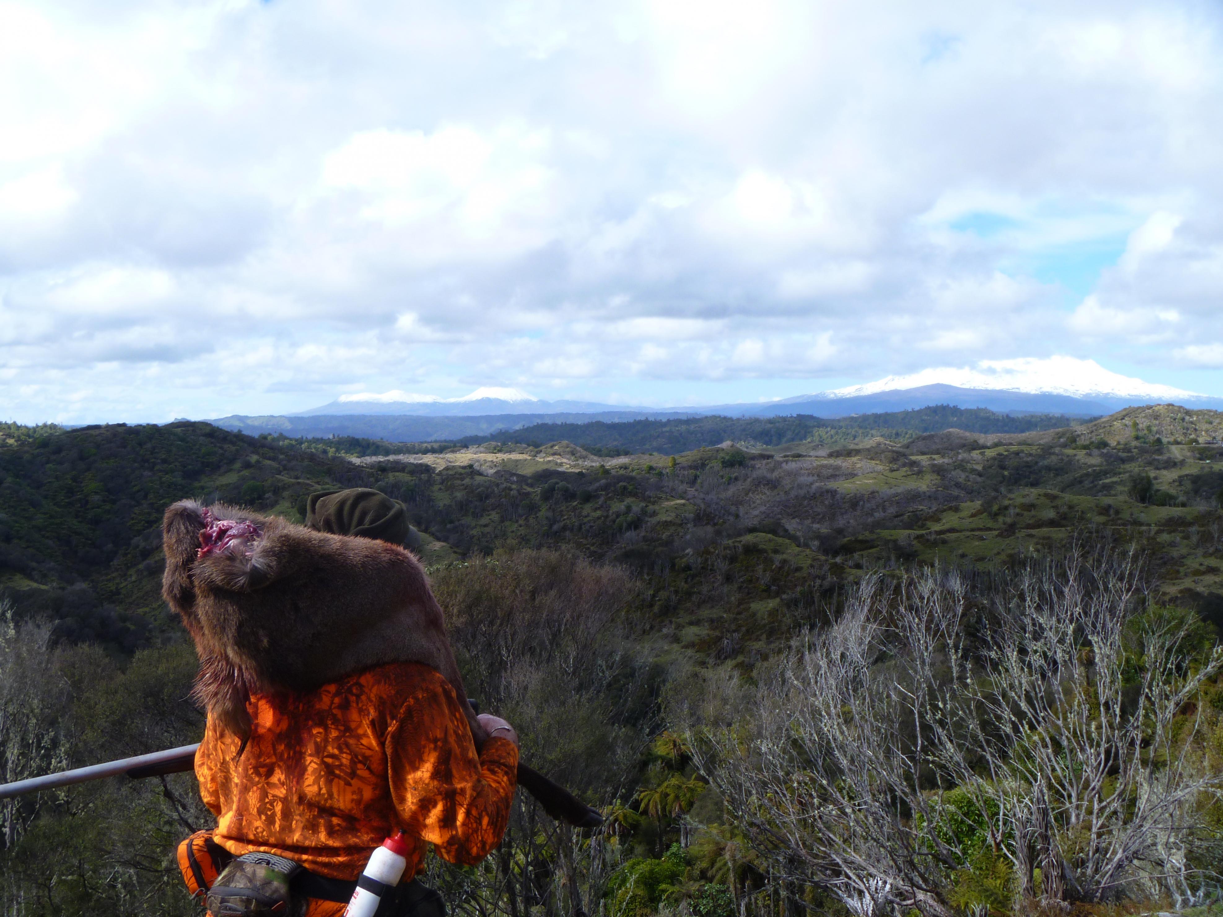 Name:  17 Nice view.jpg
Views: 579
Size:  1,020.2 KB