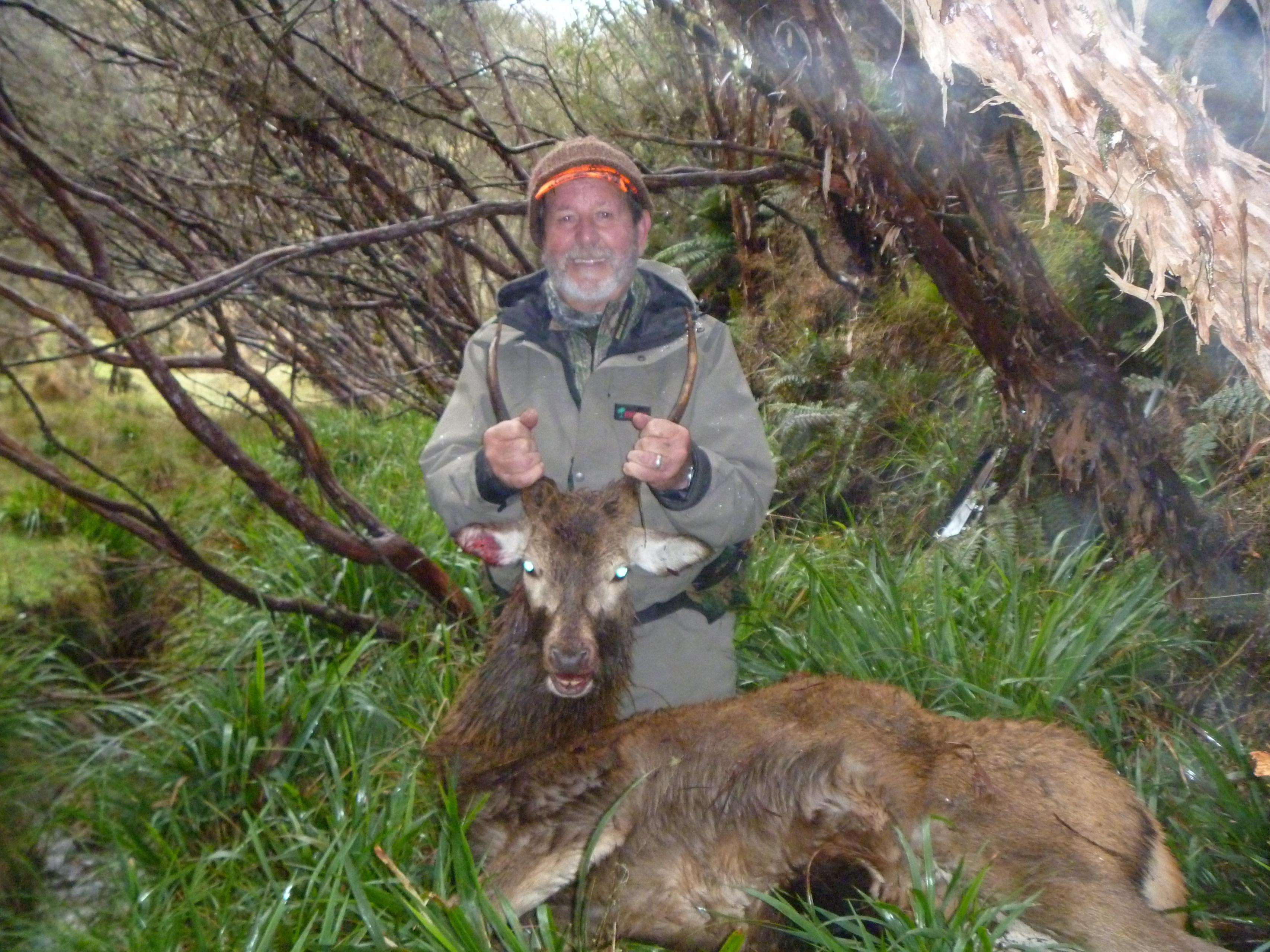 Name:  5 Dads Stag.jpg
Views: 394
Size:  1.04 MB