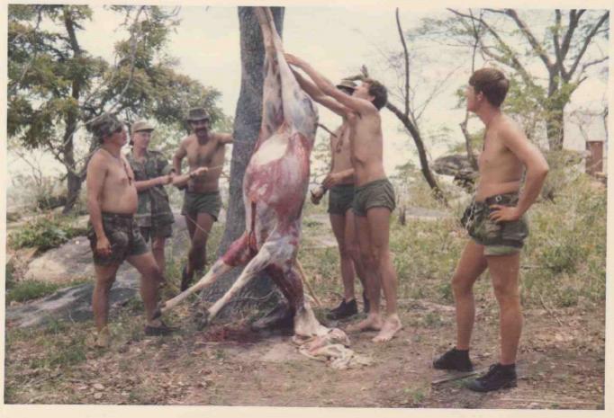 Name:  skinning.jpg
Views: 604
Size:  55.7 KB