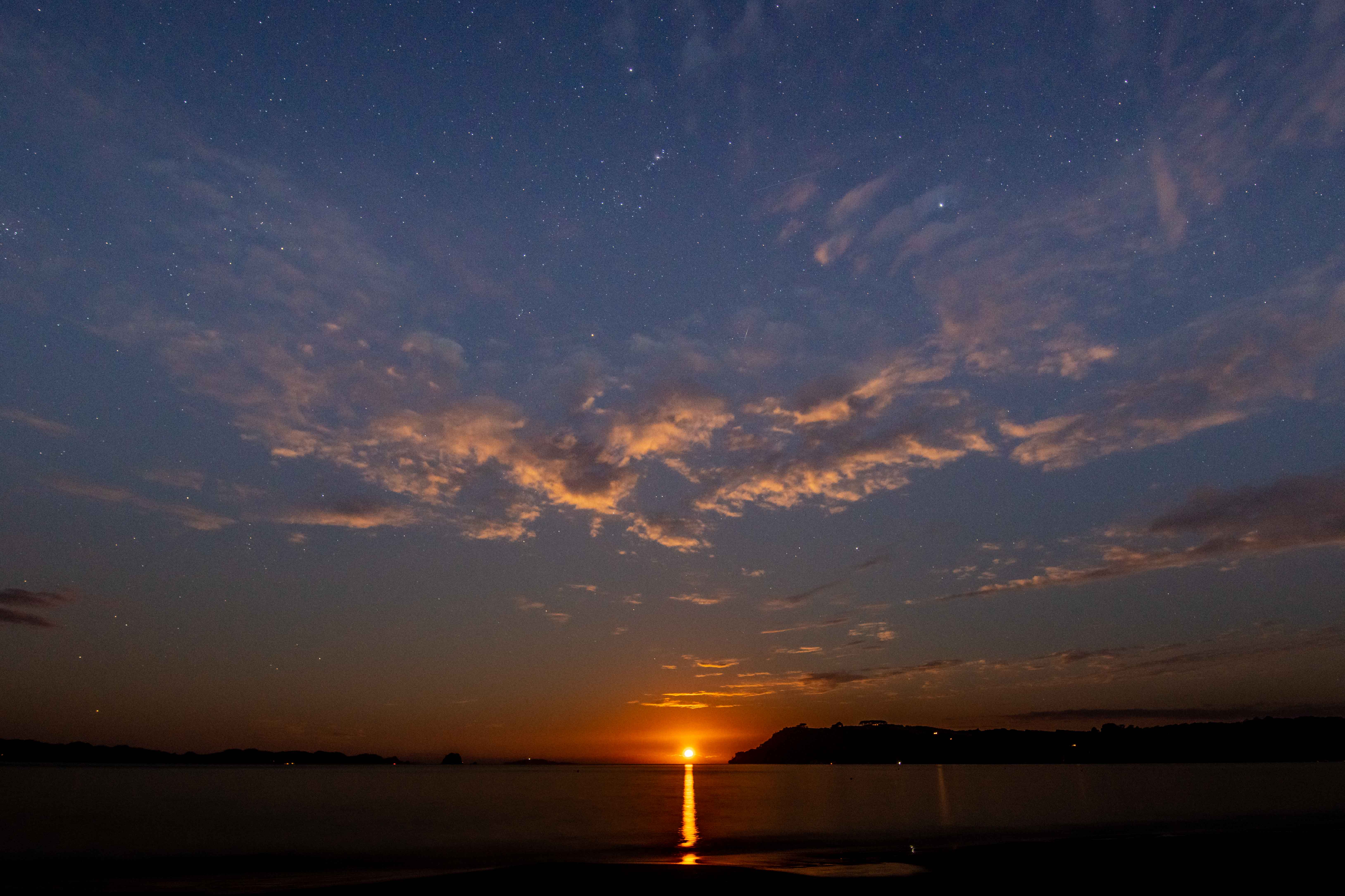 Name:  DSC_8153-2.JPG
Views: 663
Size:  905.6 KB