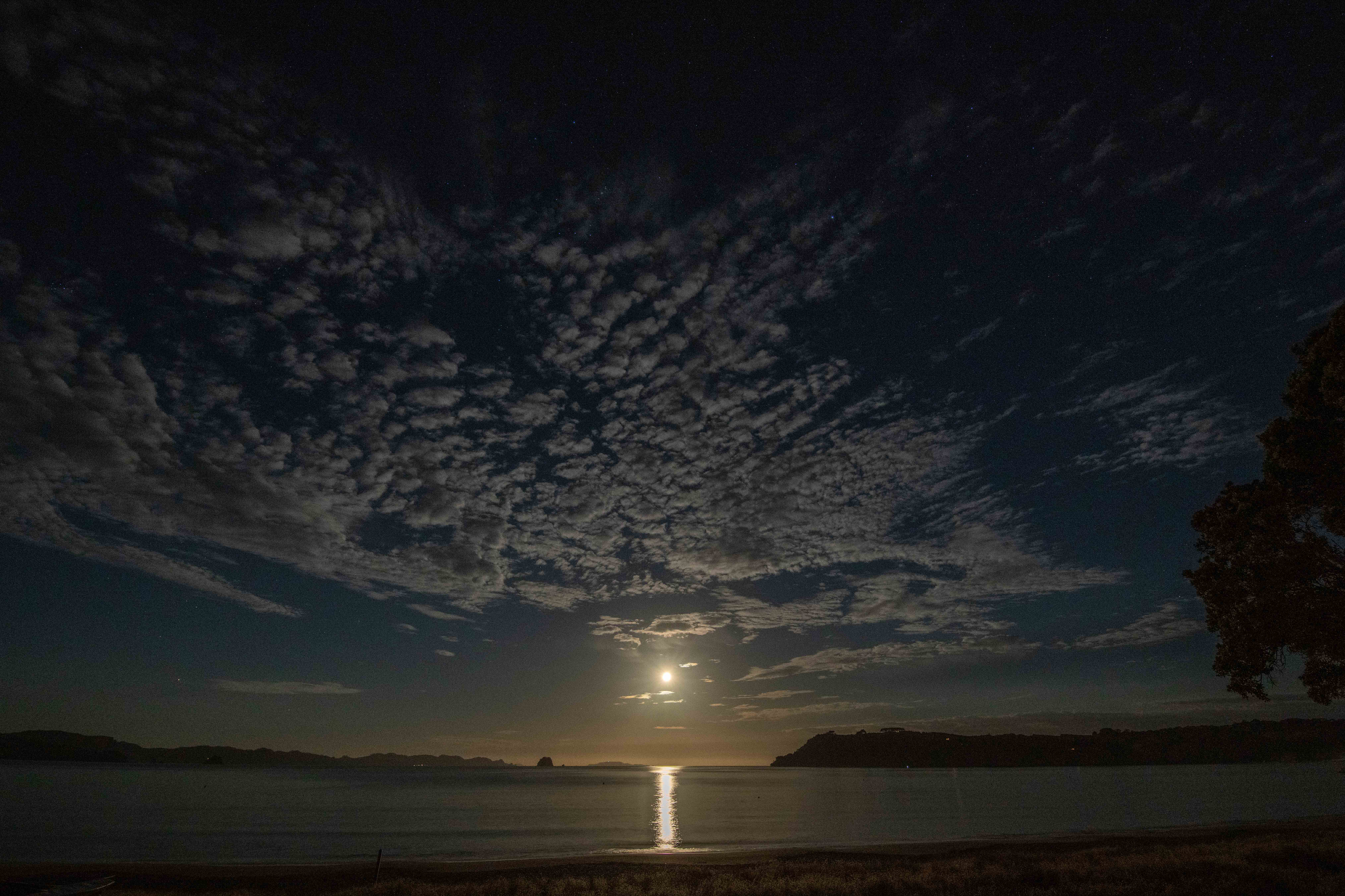 Name:  DSC_8203-2.JPG
Views: 711
Size:  1.84 MB