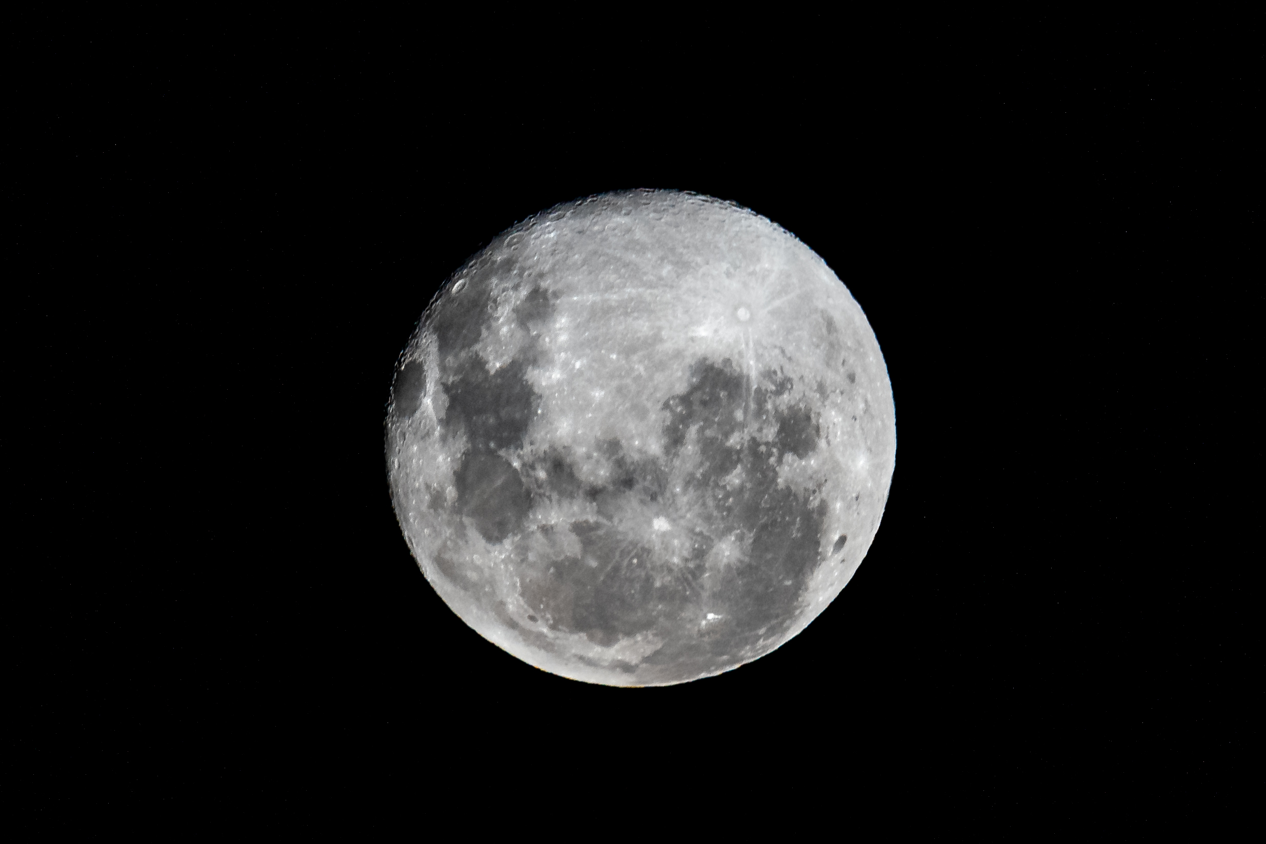 Name:  DSC_8194-2.JPG
Views: 653
Size:  619.2 KB