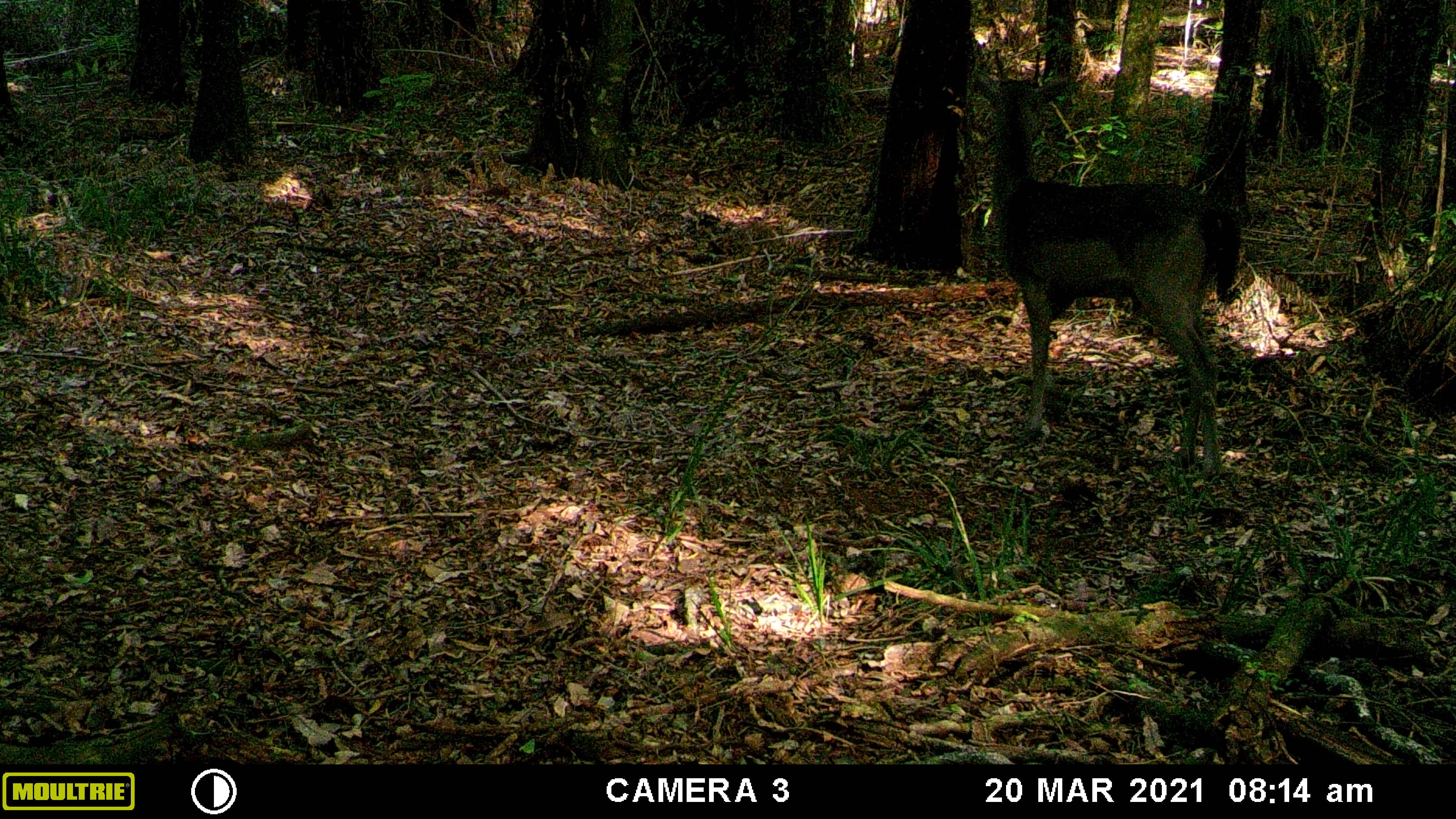 Name:  MFDC0303.JPG
Views: 373
Size:  1.32 MB