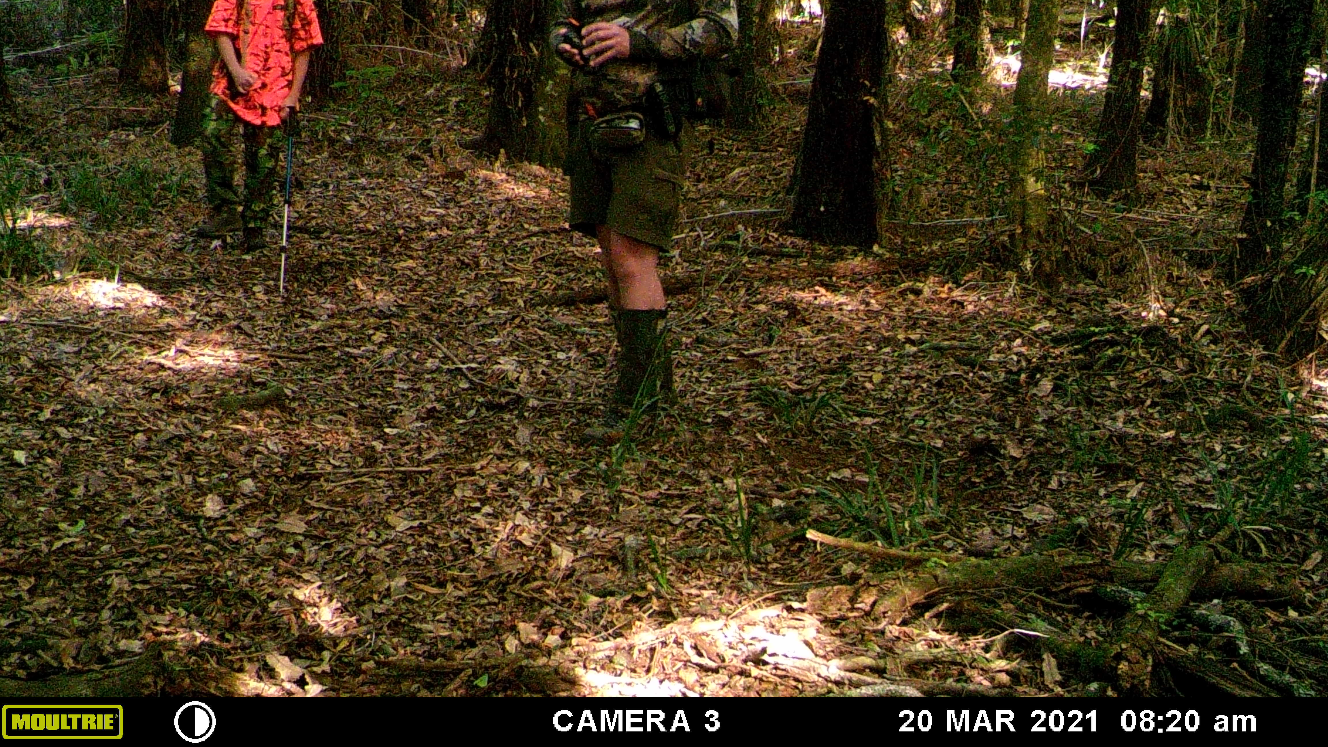 Name:  MFDC0304.JPG
Views: 317
Size:  1.32 MB