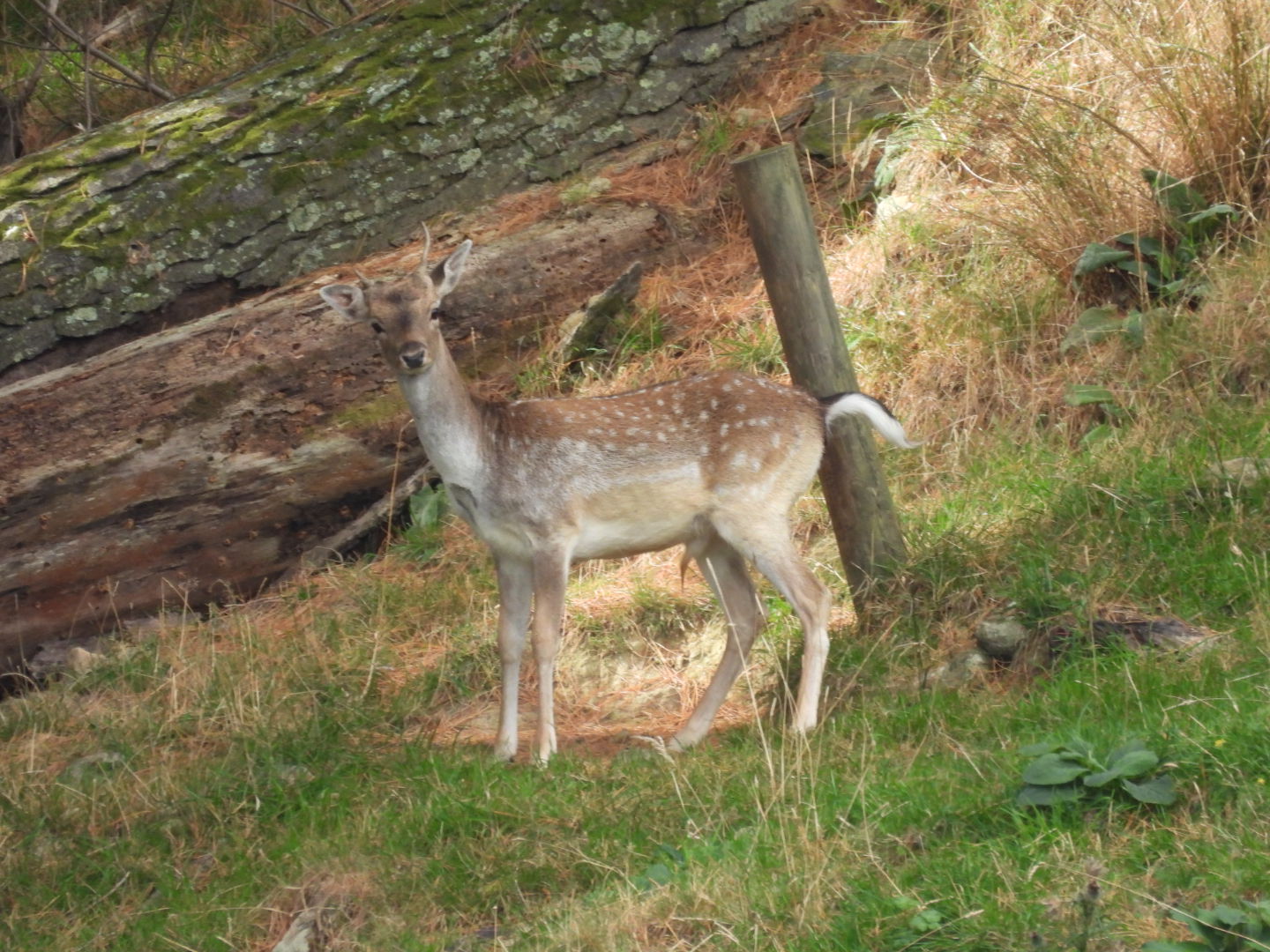 Name:  DSCN0051.JPG
Views: 416
Size:  346.8 KB