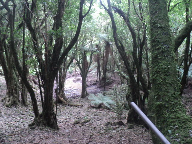 Name:  picture 01 3700.jpg
Views: 273
Size:  164.4 KB