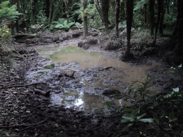 Name:  picture 01 3701.jpg
Views: 266
Size:  164.1 KB