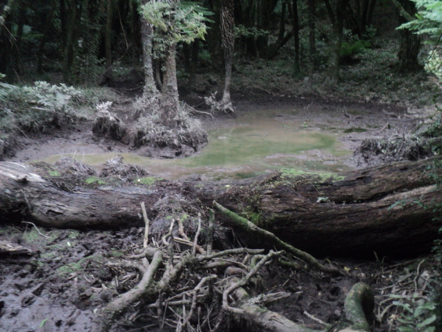 Name:  picture 01 3702.jpg
Views: 270
Size:  162.4 KB