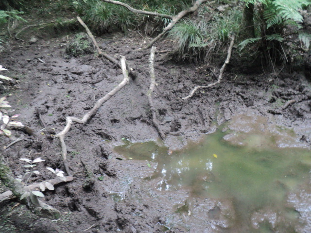 Name:  picture 01 3703.jpg
Views: 262
Size:  164.9 KB
