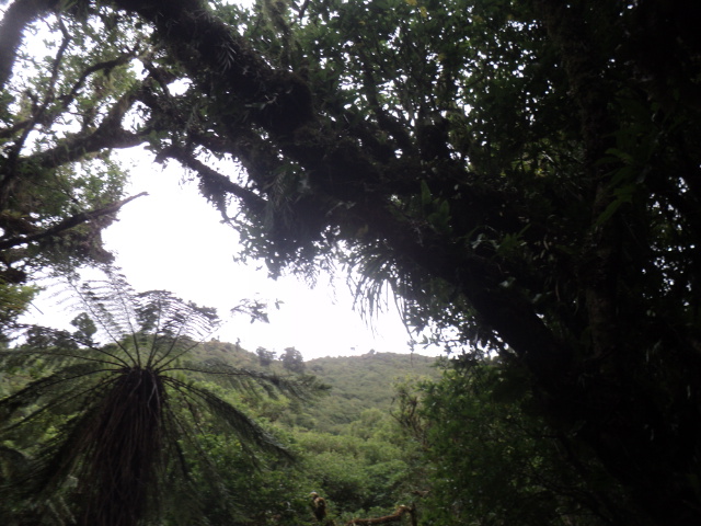 Name:  picture 01 3704.jpg
Views: 264
Size:  164.7 KB