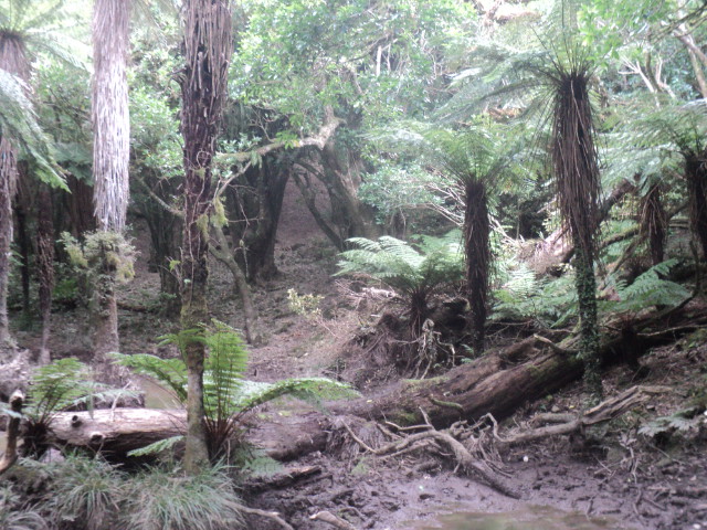 Name:  picture 01 3705.jpg
Views: 263
Size:  164.4 KB