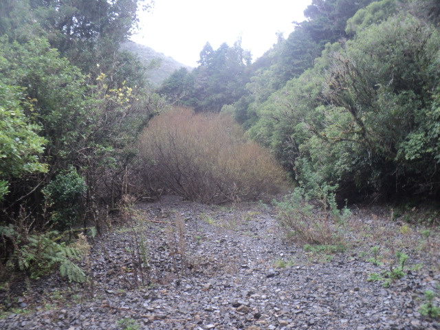 Name:  picture 01 3706.jpg
Views: 275
Size:  164.7 KB