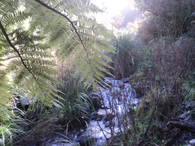 Name:  picture 01 3758.jpg
Views: 252
Size:  164.1 KB