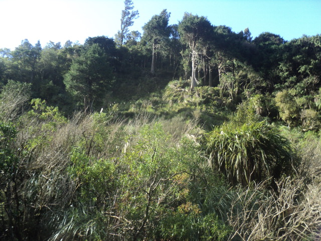 Name:  picture 01 3759.jpg
Views: 264
Size:  164.7 KB