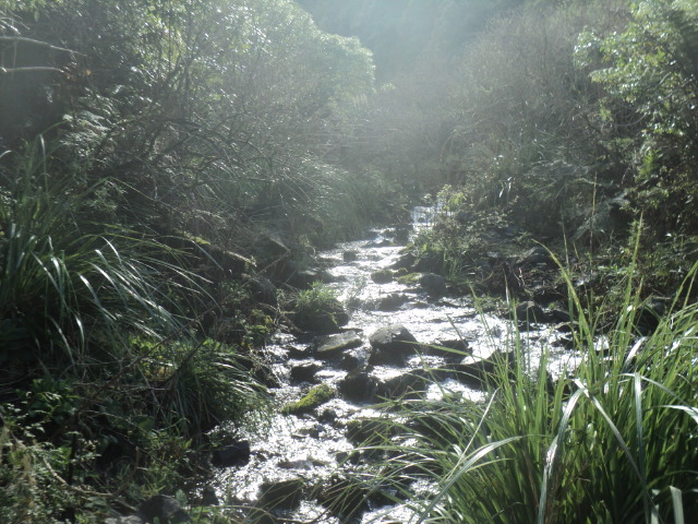 Name:  picture 01 3760.jpg
Views: 262
Size:  163.3 KB