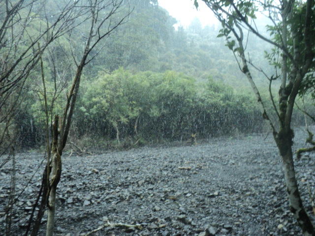 Name:  picture 01 3858.jpg
Views: 280
Size:  164.5 KB