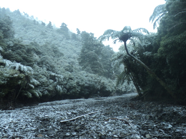 Name:  picture 01 3863.jpg
Views: 281
Size:  164.3 KB