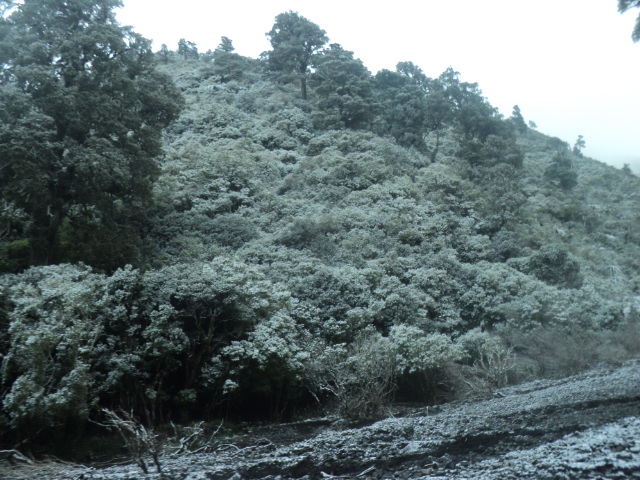 Name:  picture 01 3864.jpg
Views: 259
Size:  164.5 KB
