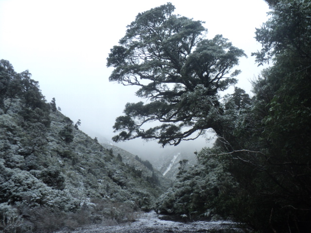 Name:  picture 01 3865.jpg
Views: 275
Size:  164.9 KB