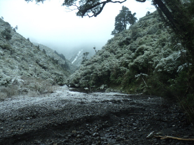 Name:  picture 01 3866.jpg
Views: 256
Size:  164.9 KB