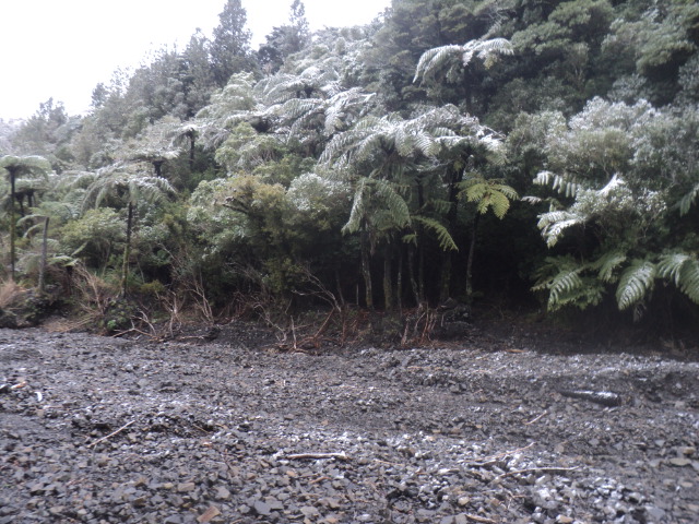 Name:  picture 01 3868.jpg
Views: 395
Size:  165.1 KB