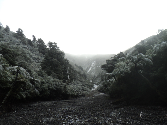 Name:  picture 01 3869.jpg
Views: 274
Size:  163.2 KB
