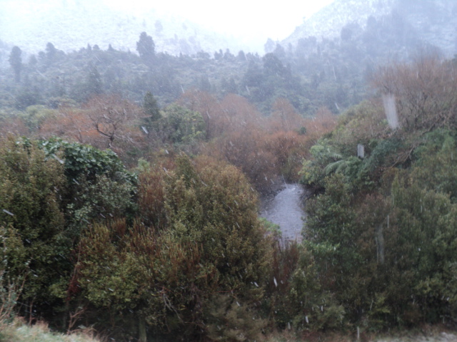 Name:  picture 01 3873.jpg
Views: 320
Size:  164.7 KB