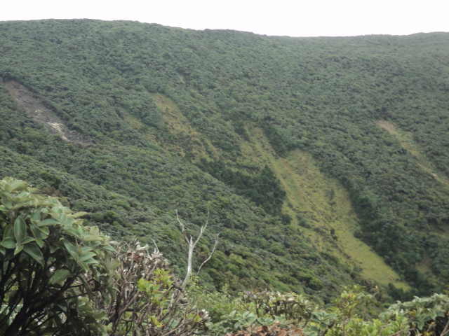 Name:  picture 01 332.jpg
Views: 456
Size:  164.2 KB
