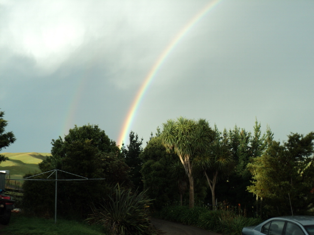 Name:  picture 2776.jpg
Views: 344
Size:  159.2 KB