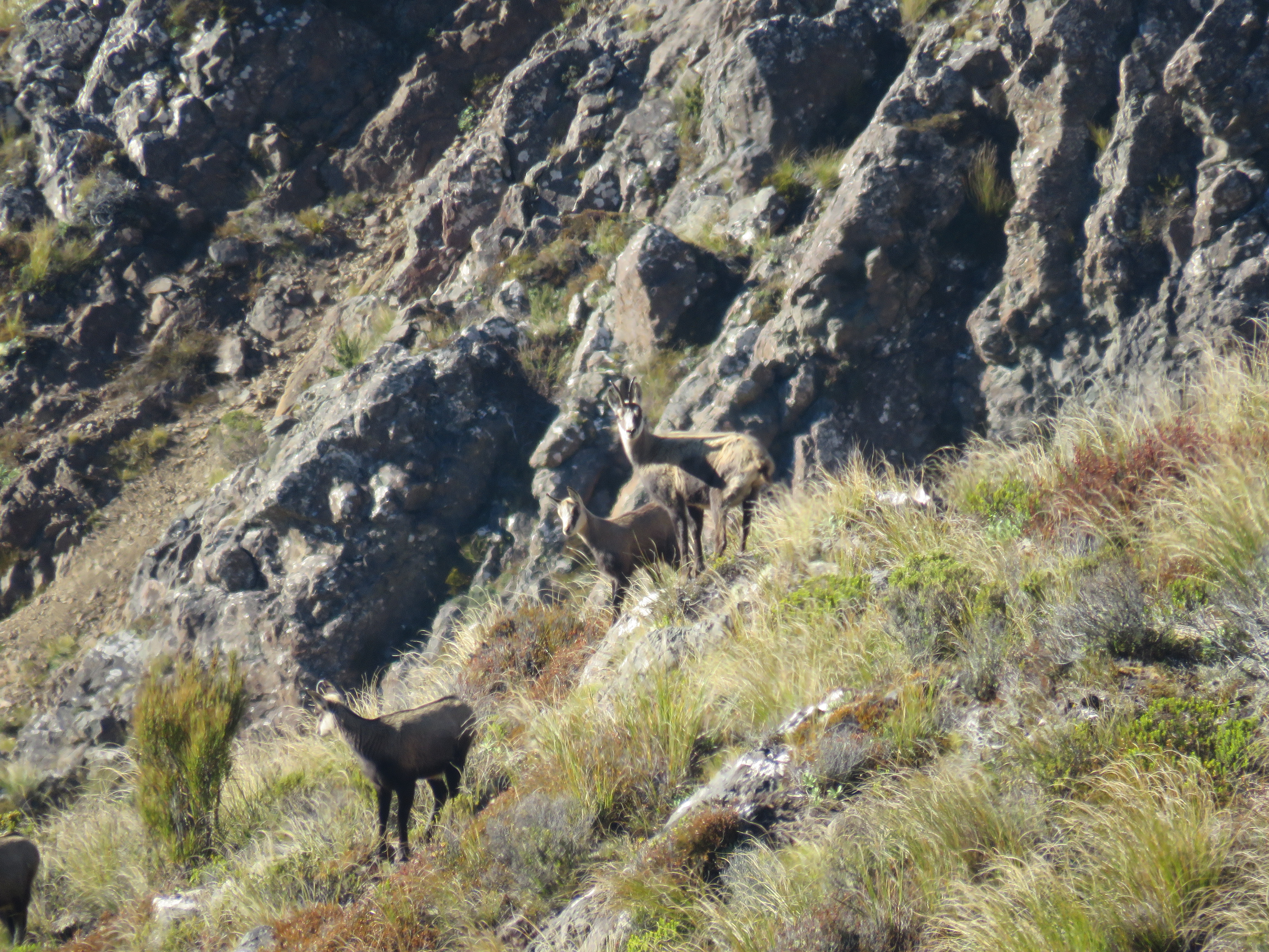 Name:  IMG_6994.JPG
Views: 428
Size:  6.73 MB