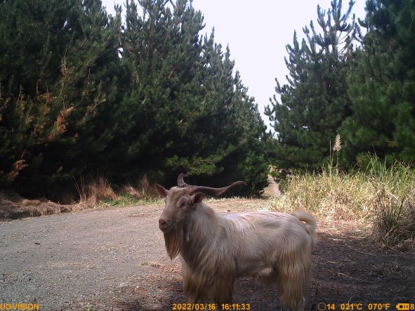 Name:  IMAG0003.JPG
Views: 783
Size:  68.5 KB