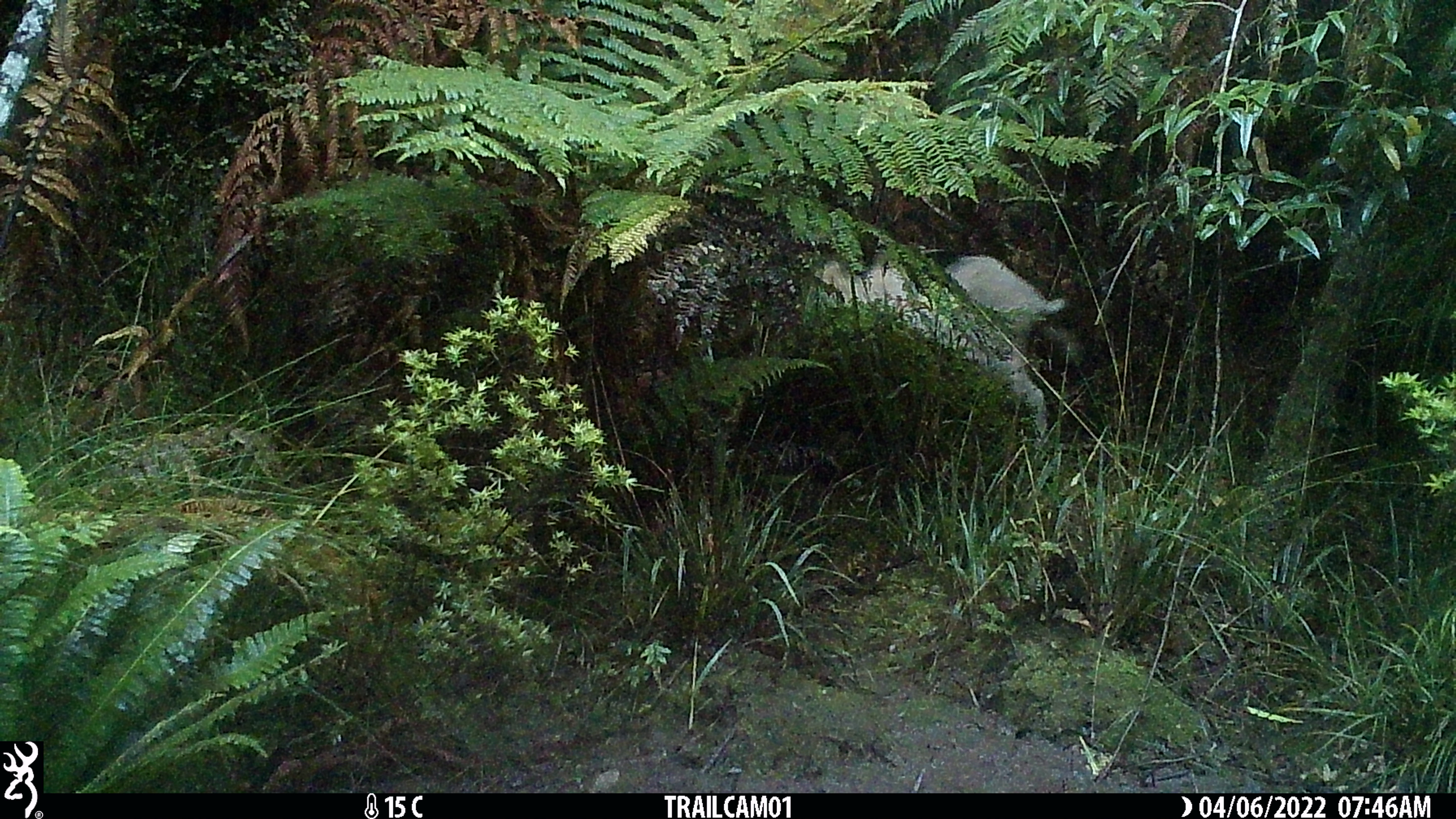 Name:  IMG_0064.jpg
Views: 729
Size:  3.05 MB