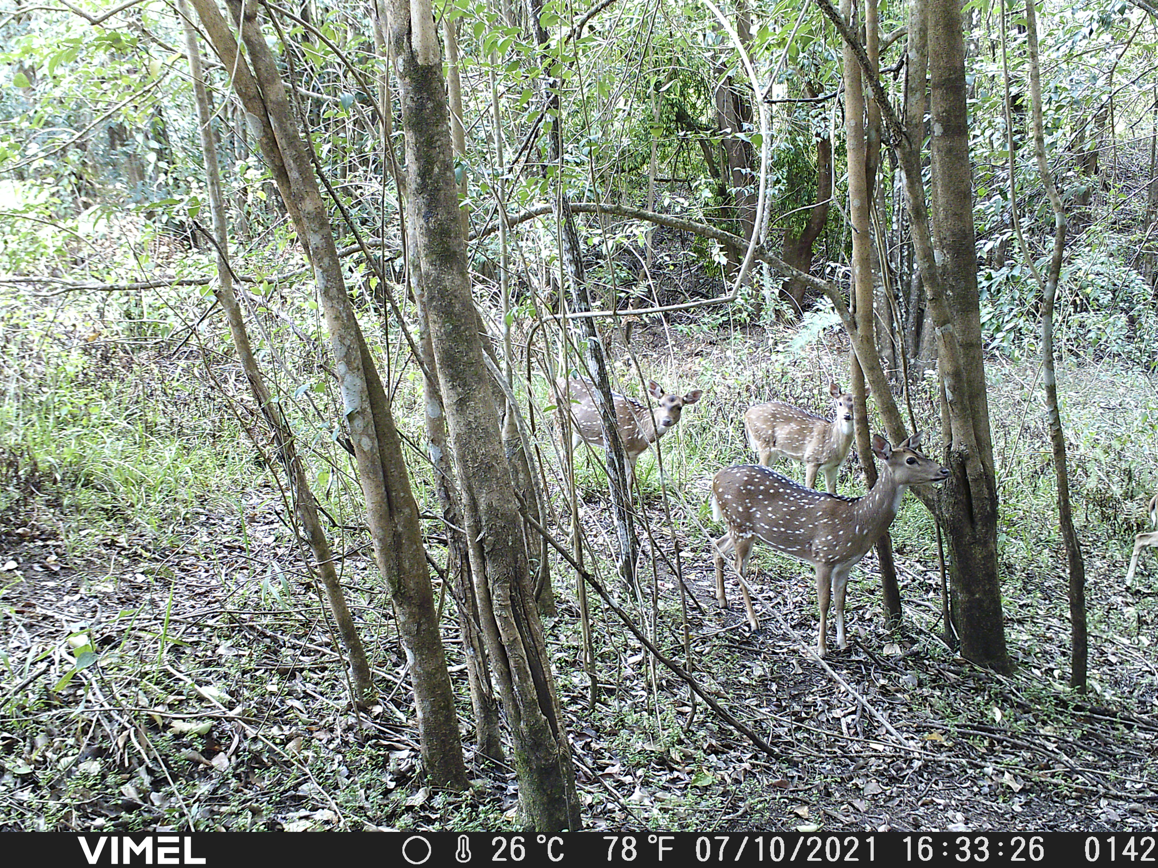 Name:  DSCF0142.JPG
Views: 549
Size:  4.32 MB