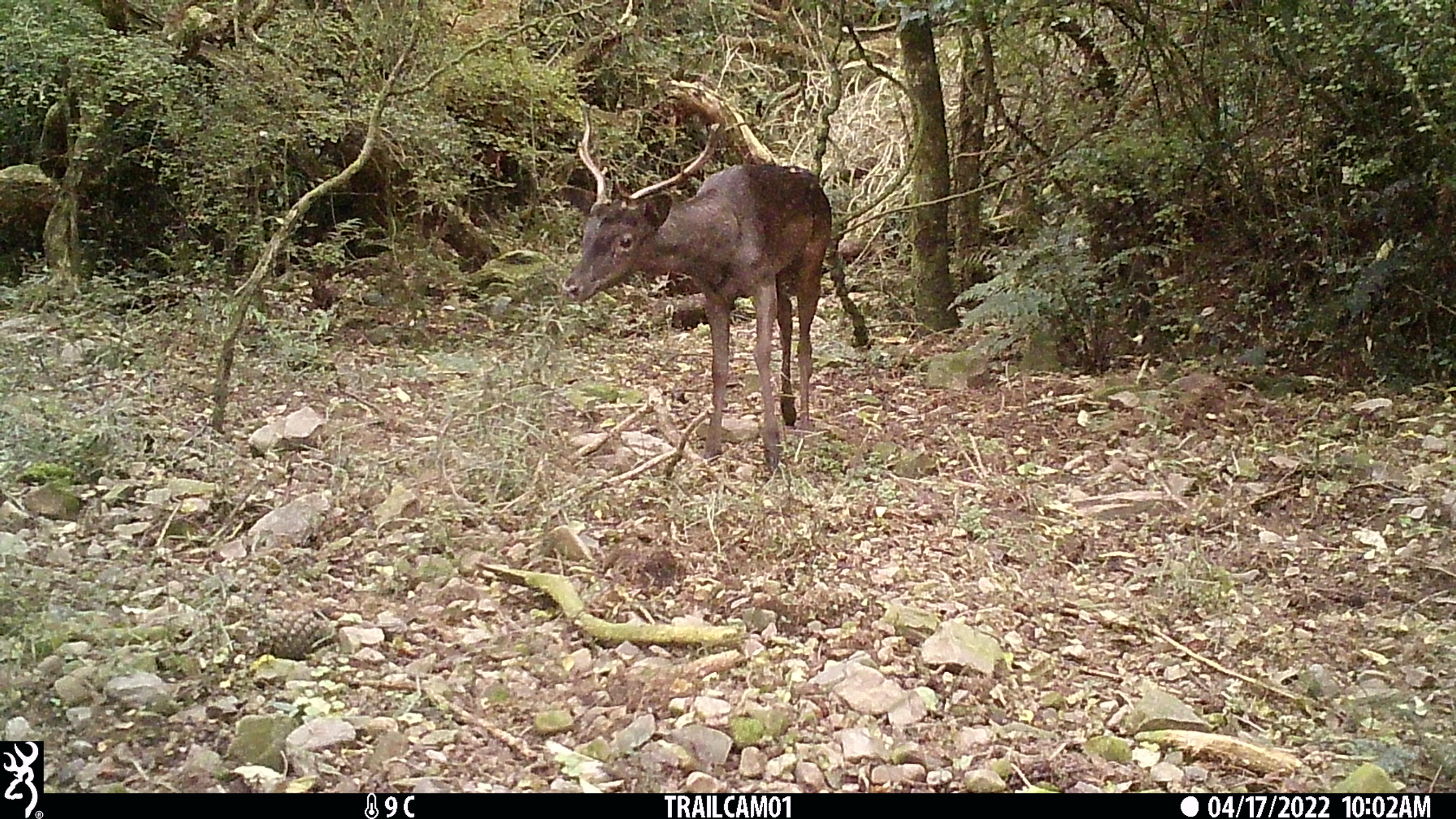Name:  IMG_0011 (2).JPG
Views: 372
Size:  1.39 MB
