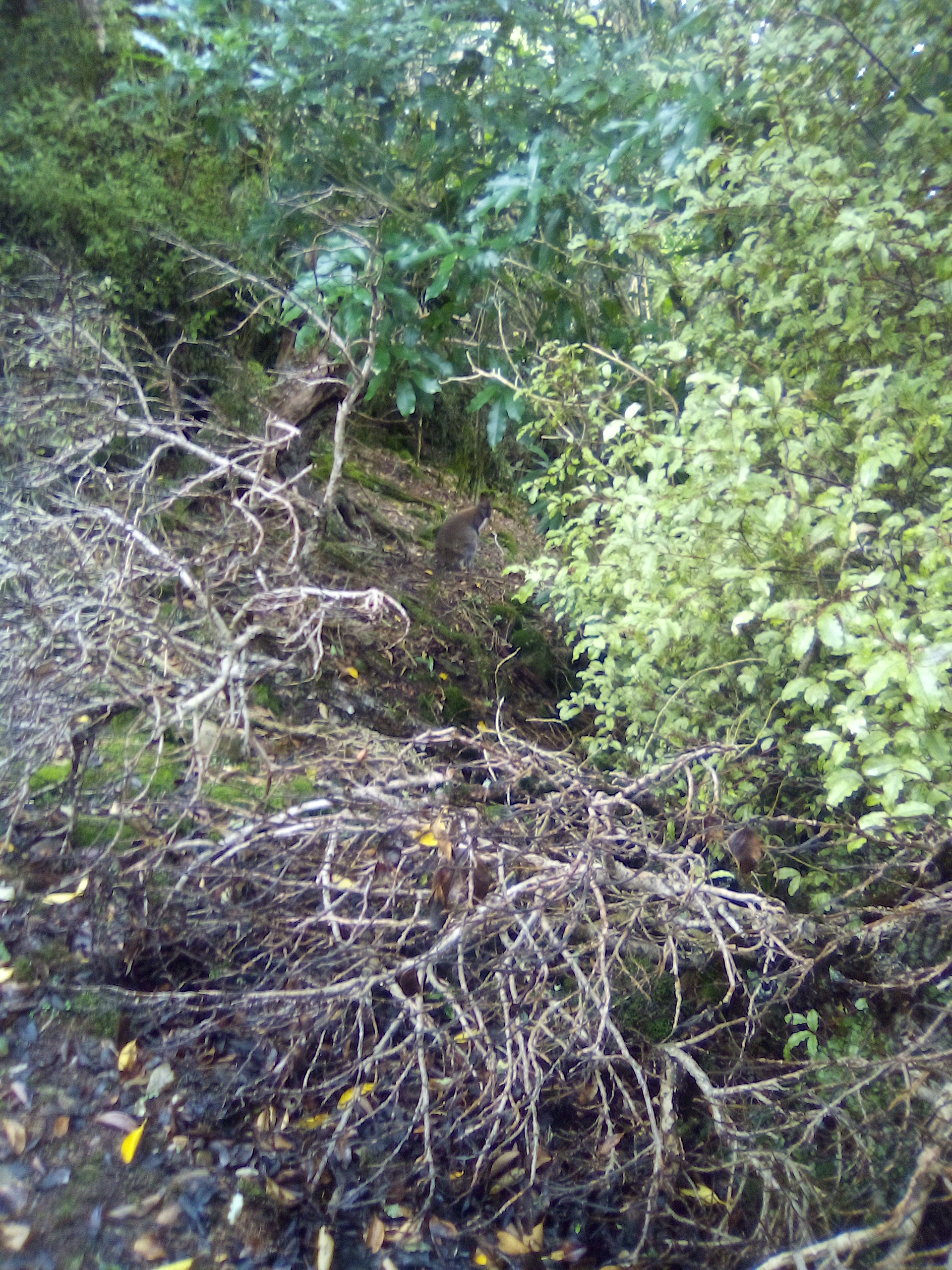 Name:  IMG_20220510_120233_9.jpg
Views: 671
Size:  2.61 MB