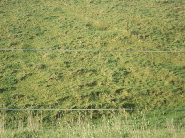 Name:  picture 01 5718.jpg
Views: 531
Size:  163.5 KB