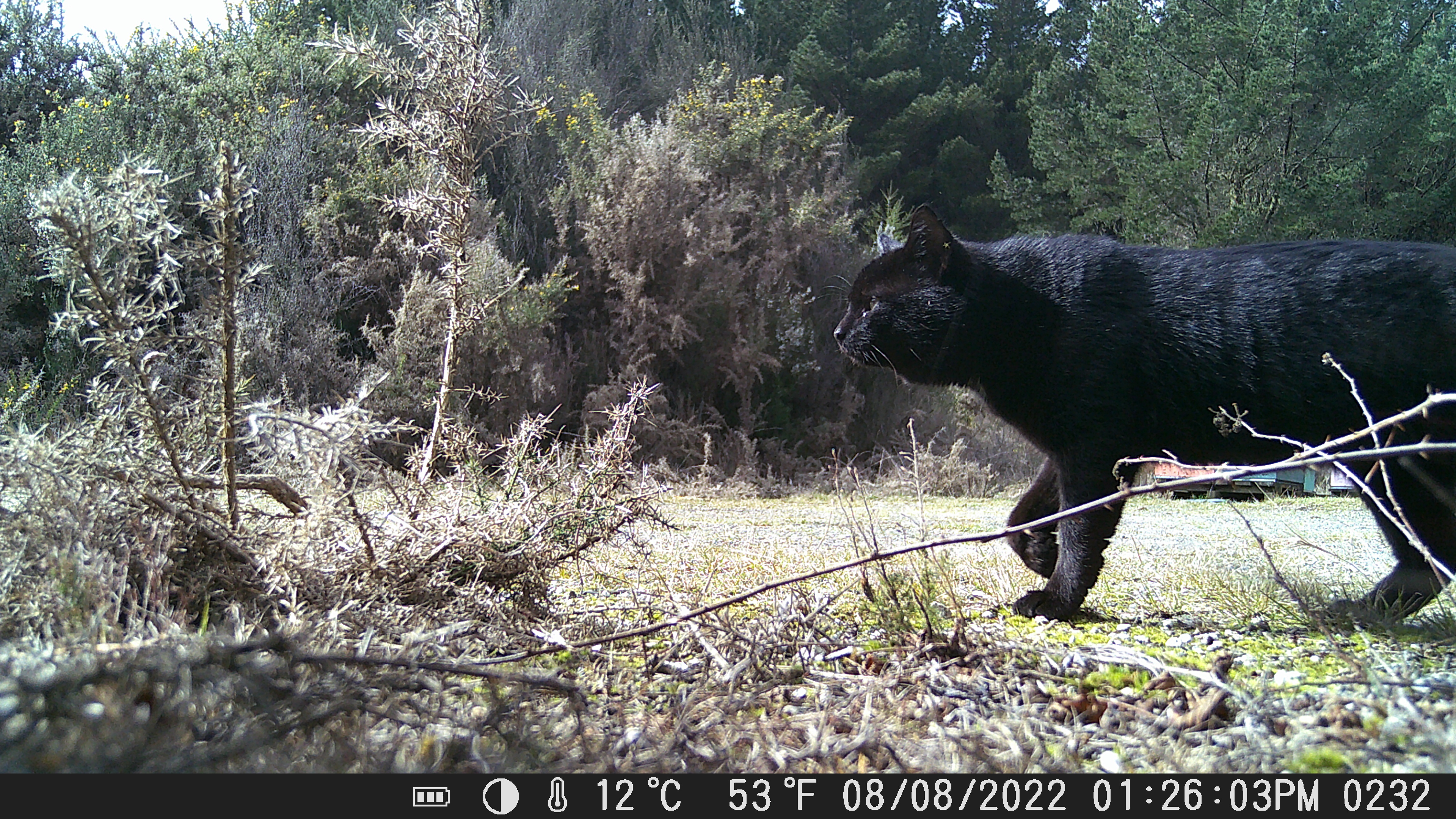 Name:  DSCF0232.JPG
Views: 498
Size:  3.84 MB