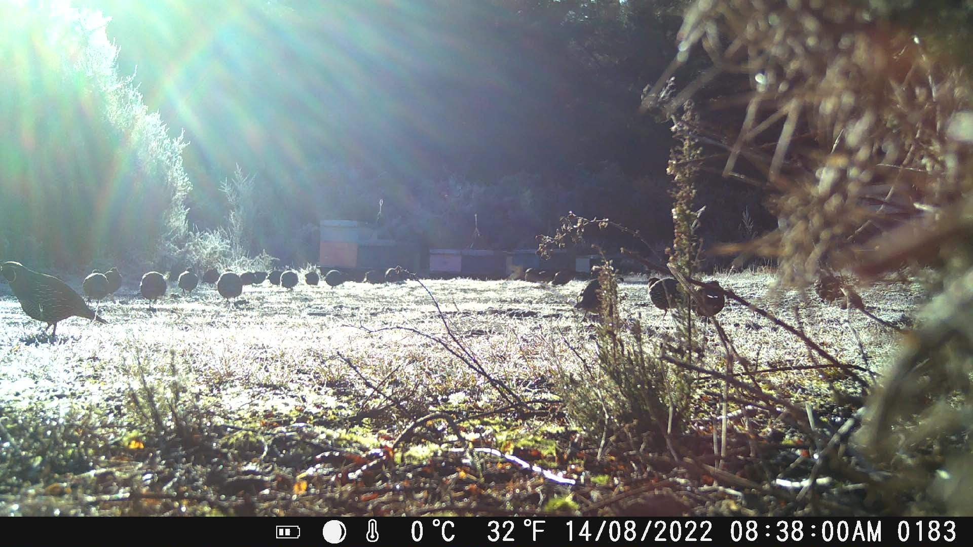 Name:  DSCF0183_Moment.jpg
Views: 489
Size:  2.79 MB