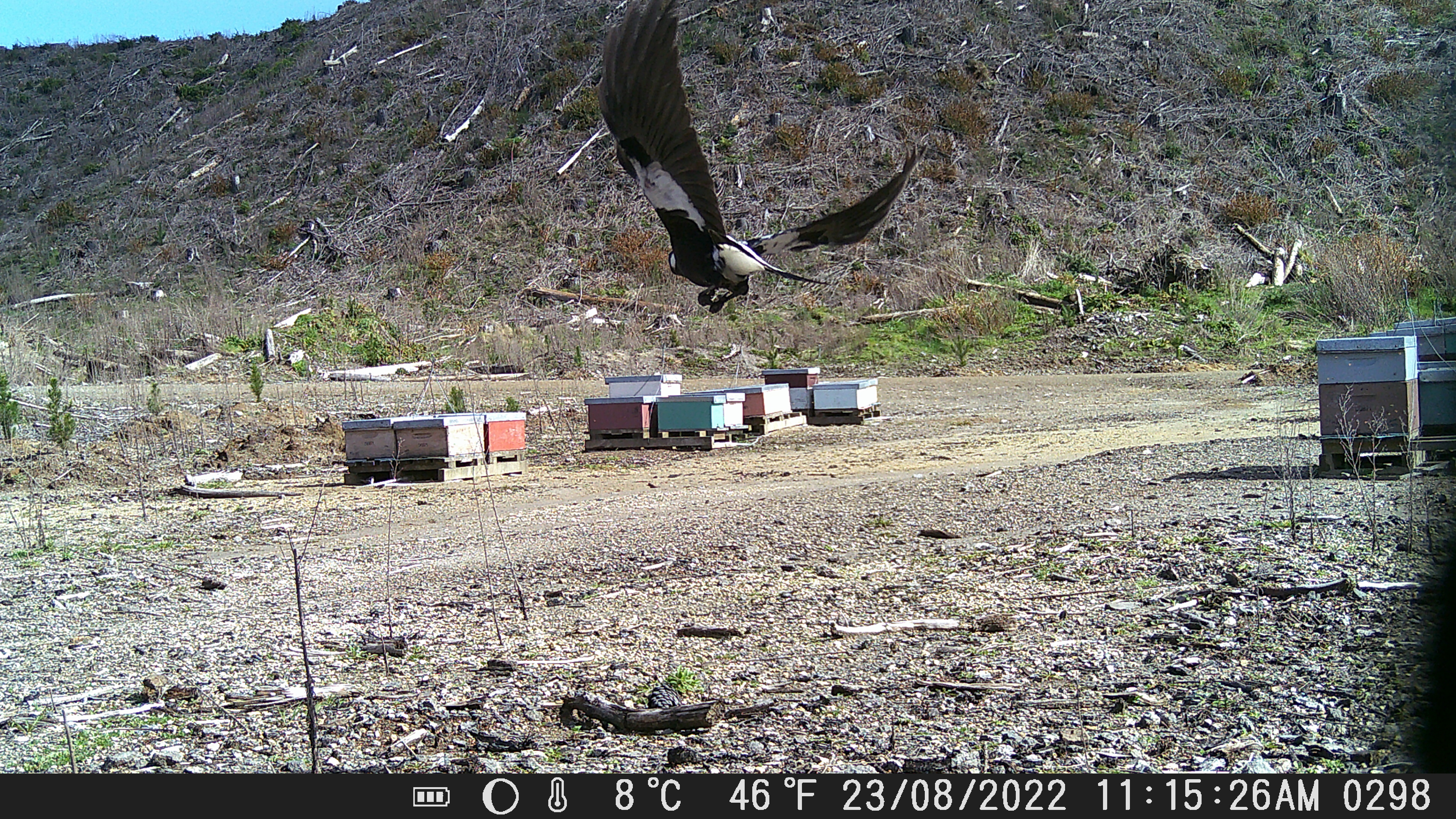Name:  DSCF0298.JPG
Views: 487
Size:  5.17 MB