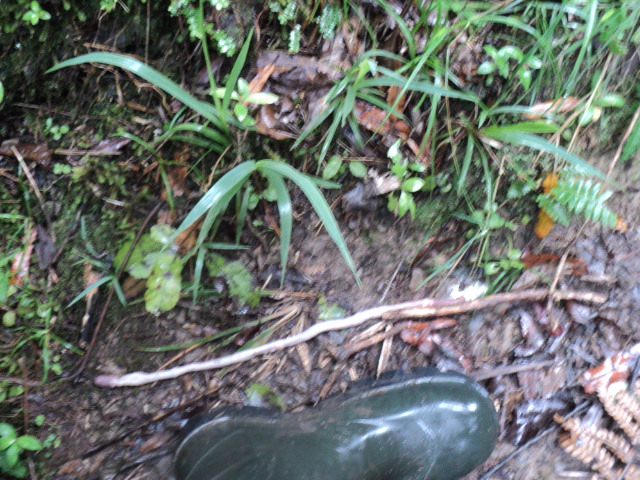 Name:  picture 8207.jpg
Views: 91
Size:  165.0 KB