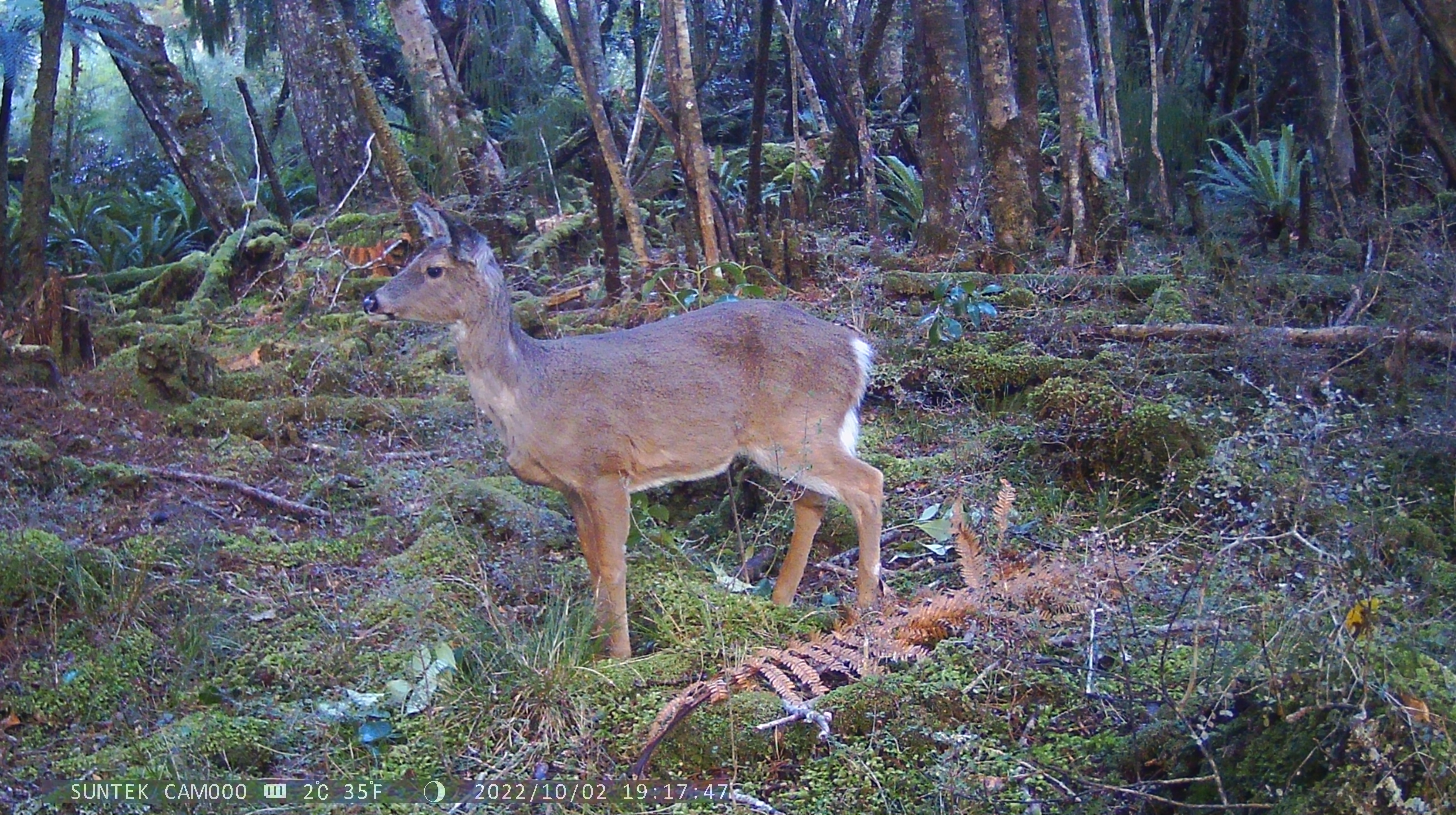 Name:  PTDC0050.JPG
Views: 438
Size:  4.25 MB