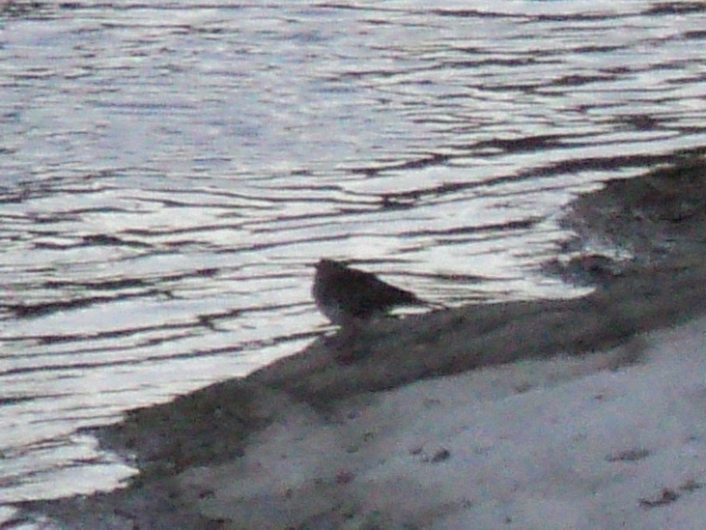 Name:  picture 3192.jpg
Views: 176
Size:  164.3 KB
