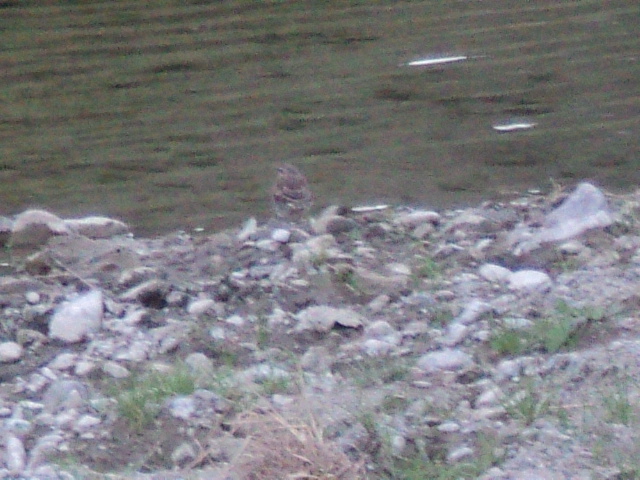 Name:  picture 3190.jpg
Views: 195
Size:  162.5 KB