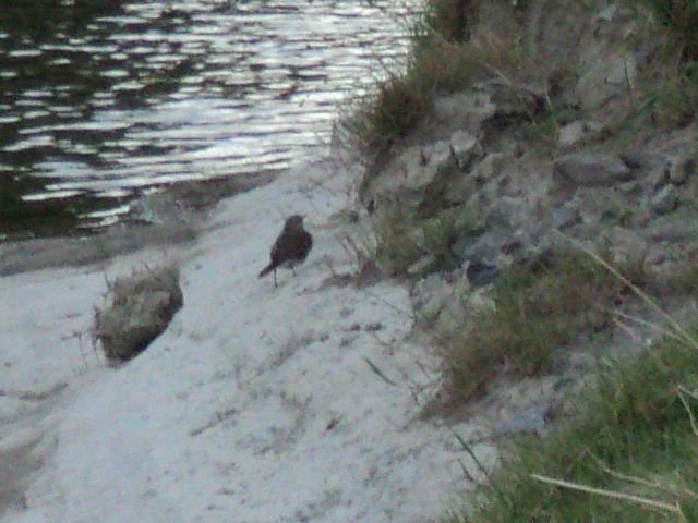 Name:  picture 3191.jpg
Views: 149
Size:  164.0 KB
