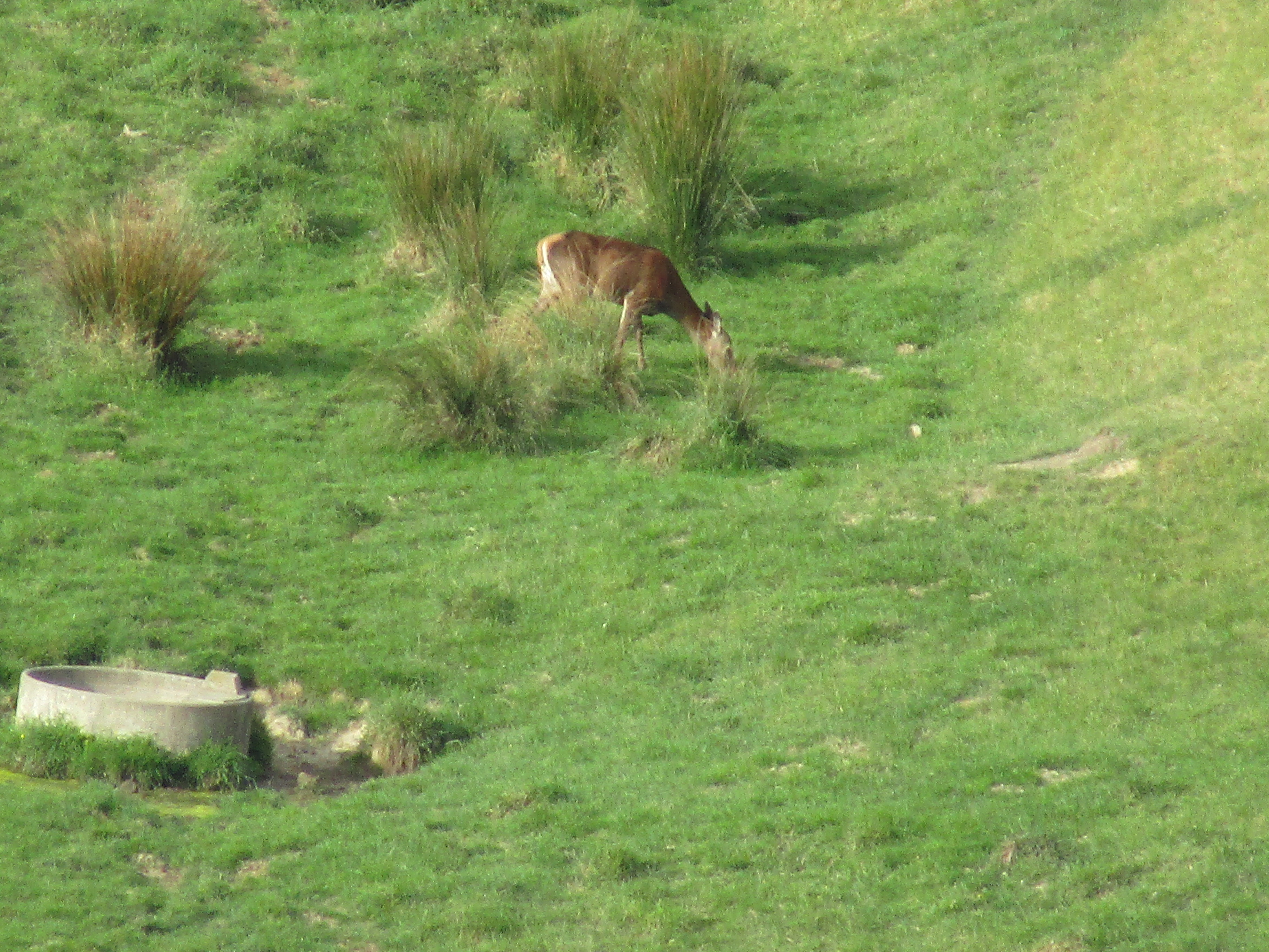Name:  IMG_0752.JPG
Views: 329
Size:  3.43 MB