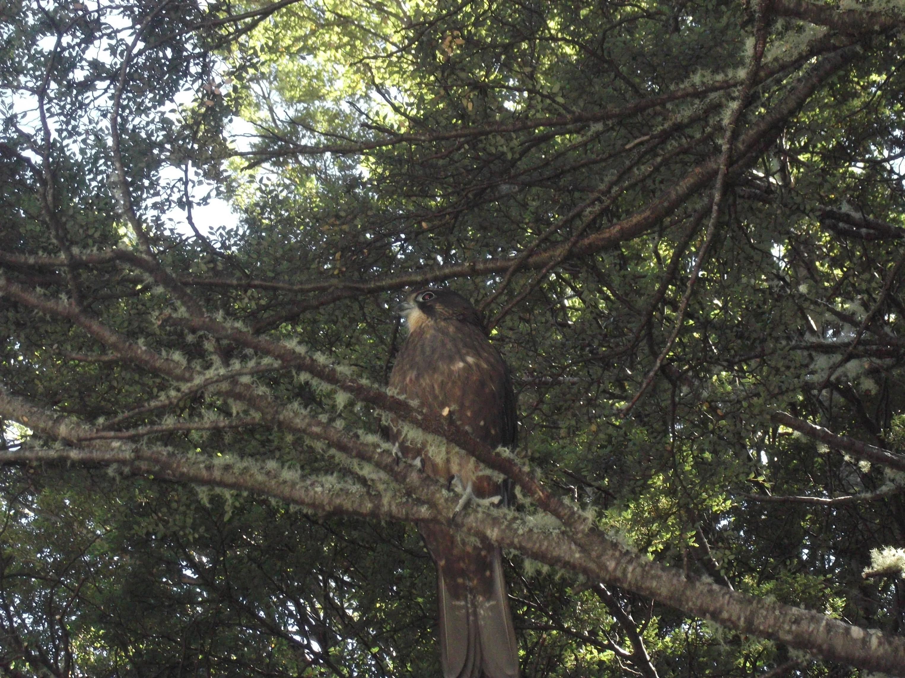 Name:  Copy (2) of lee's creek and social club 2013 046.jpg
Views: 2385
Size:  1.04 MB
