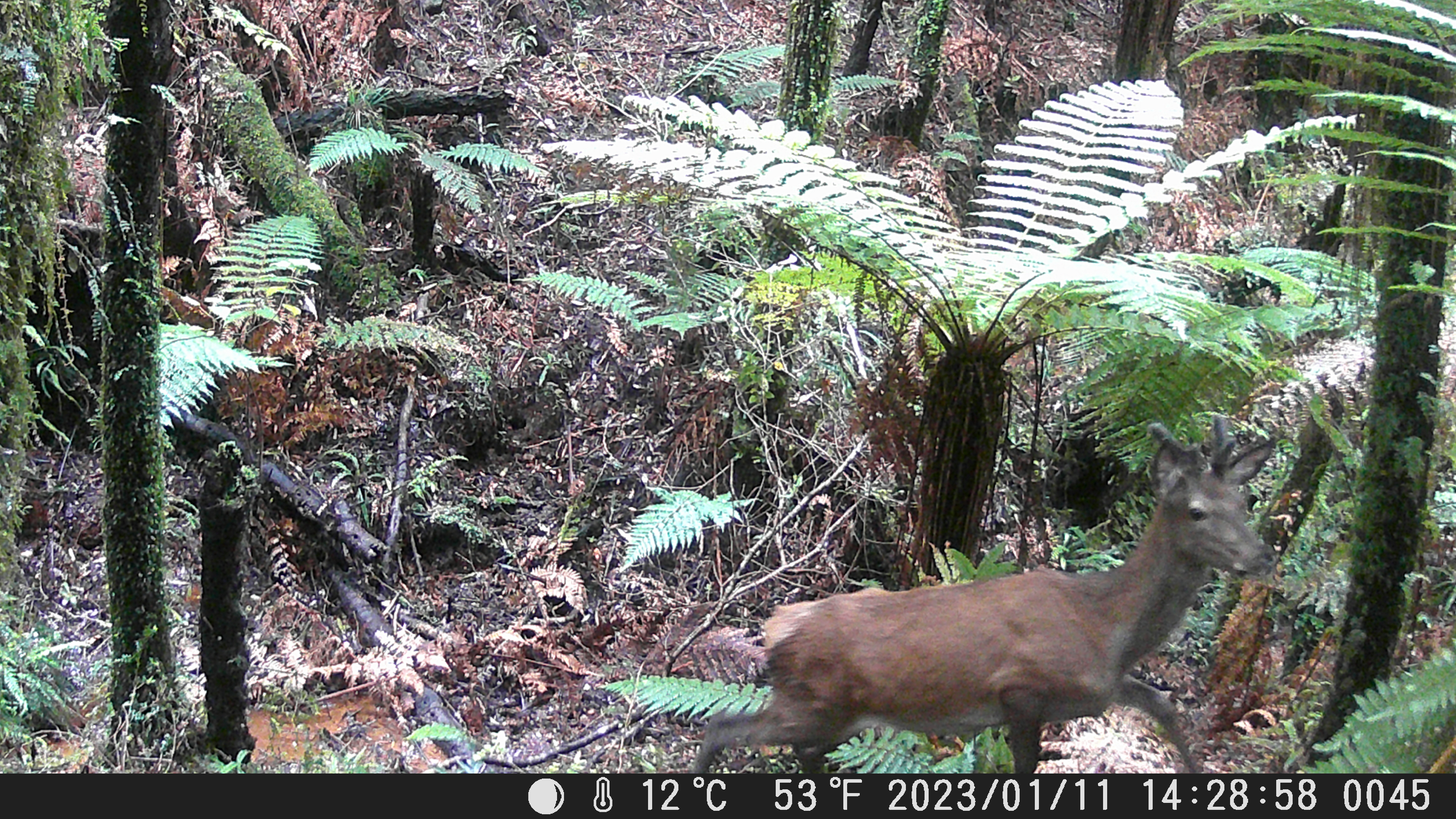 Name:  DSCF0045.JPG
Views: 1176
Size:  4.38 MB