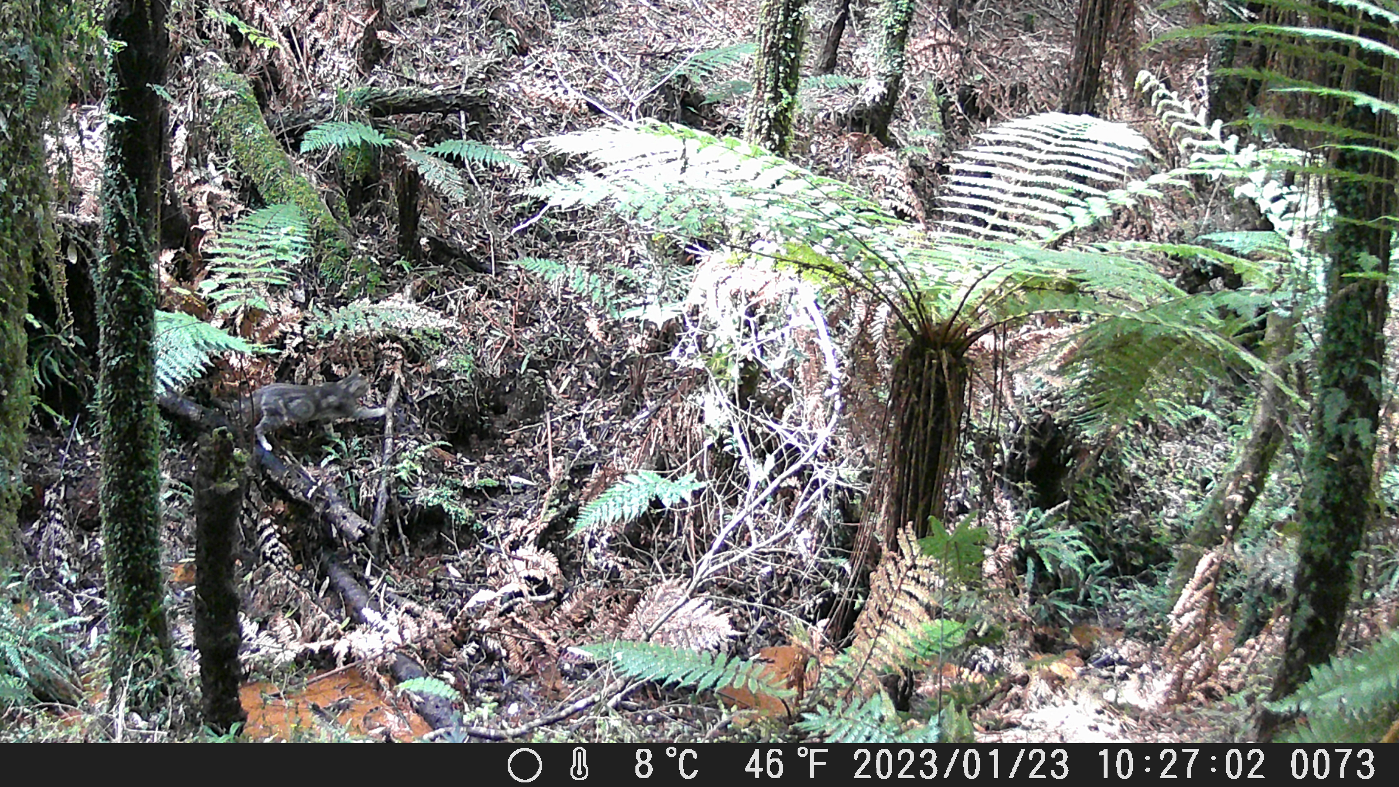 Name:  DSCF0073.JPG
Views: 1163
Size:  4.57 MB
